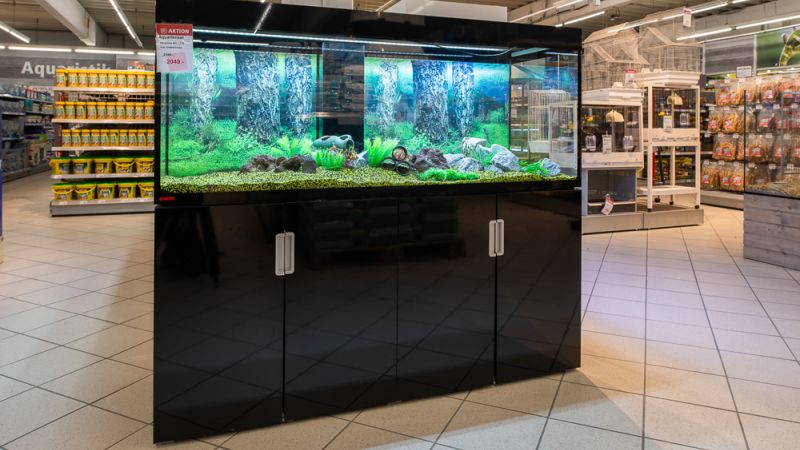 firmenpraesentation 1004